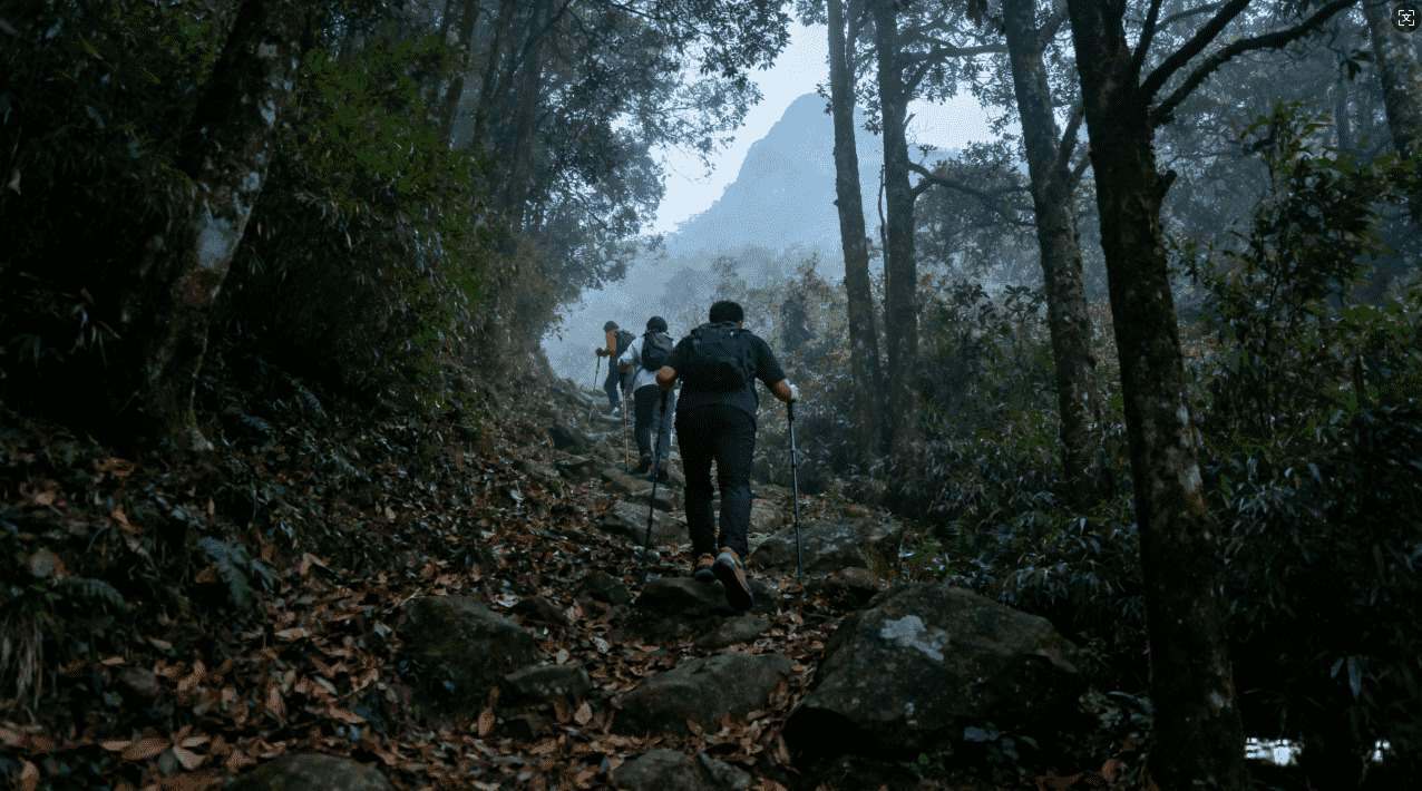 椰子加速器下载安装指南教你轻松上INS